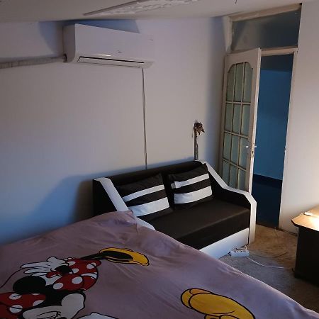 Sara 3 Dormitoare Nu Primesc Santieristi Si Petrecareti Villa Bukarest Eksteriør billede