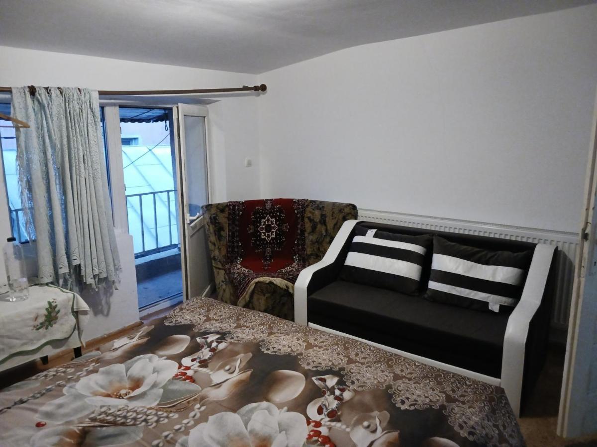 Sara 3 Dormitoare Nu Primesc Santieristi Si Petrecareti Villa Bukarest Eksteriør billede